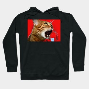 Bengal Katze 1 / Swiss Artwork Photography Hoodie